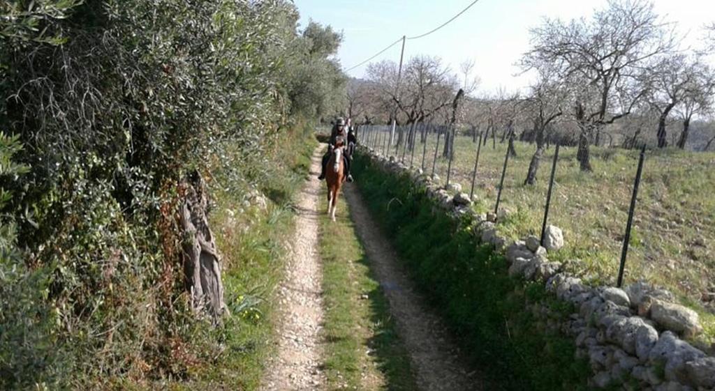 ノート Agriturismo Vita E Naturaヴィラ エクステリア 写真